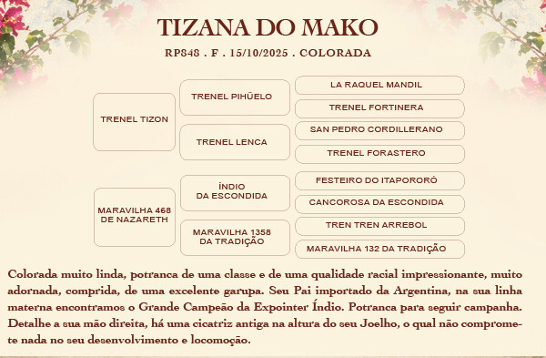 Geração TIZANA DO MAKO
