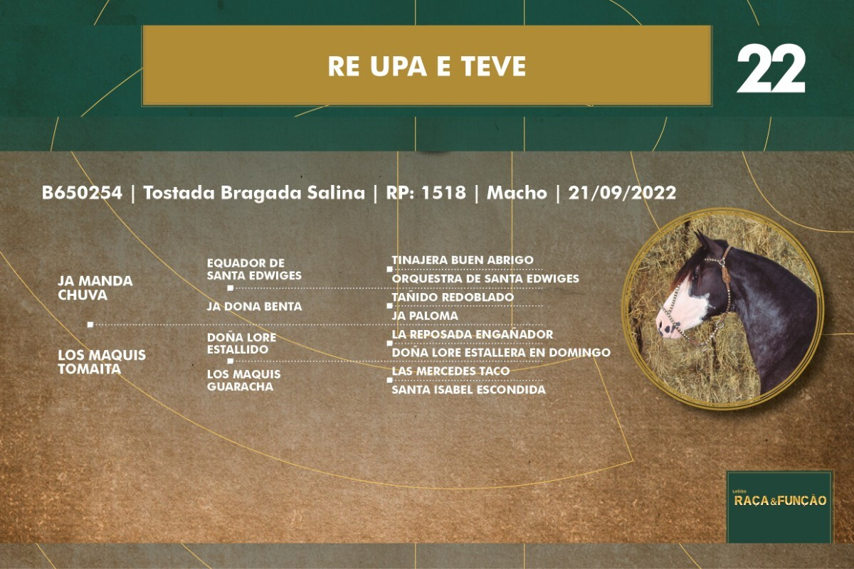 Geração RE UPA E TEVE