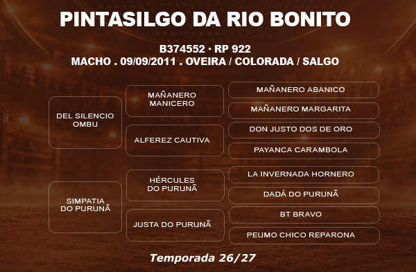 Geração COBERTURA PINTASILGO DA RIO BONITO