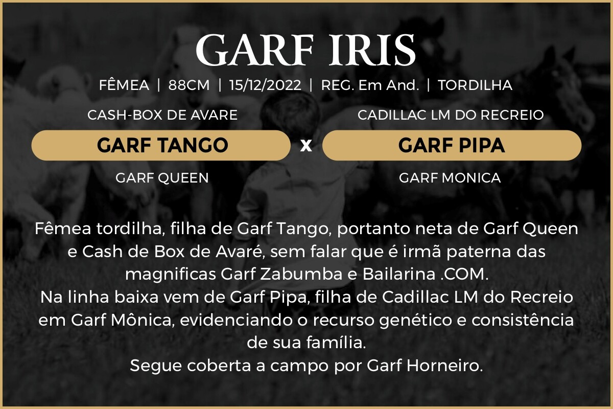Geração GARF IRIS