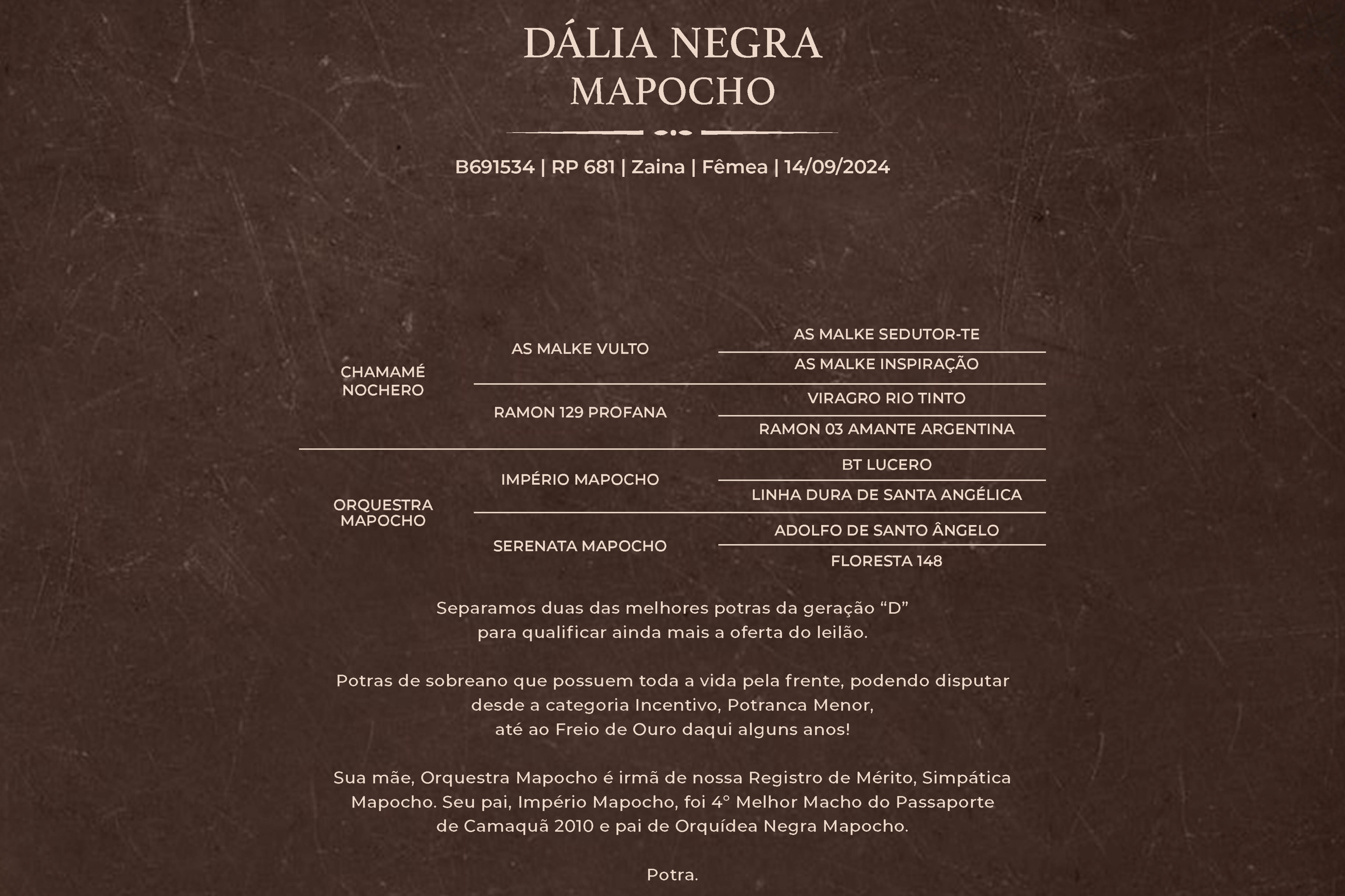 Geração DÁLIA NEGRA MAPOCHO