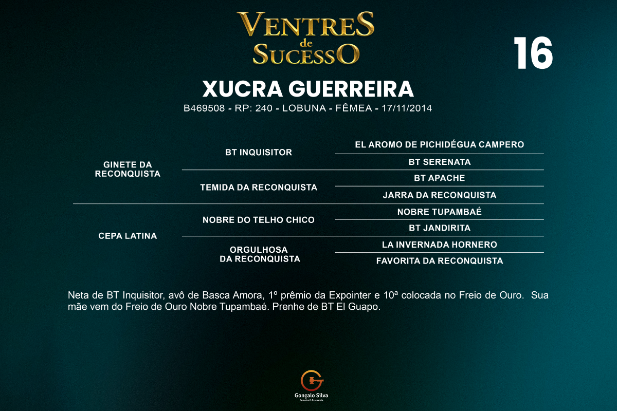 Geração XUCRA  GUERREIRA 