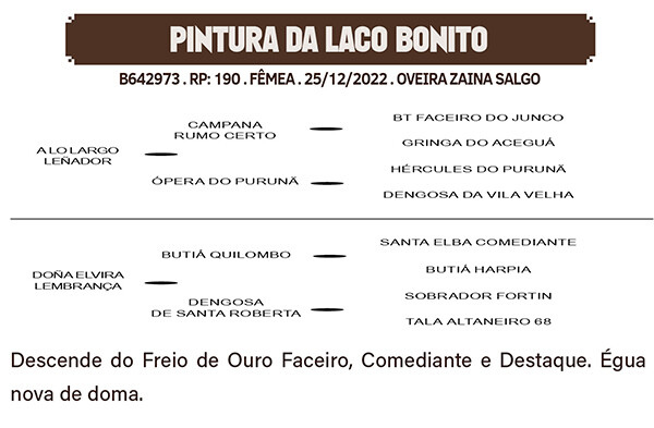 Geração PINTURA DO LAÇO BONITO