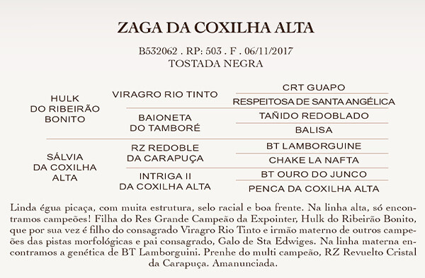 Geração ZAGA DA COXILHA ALTA