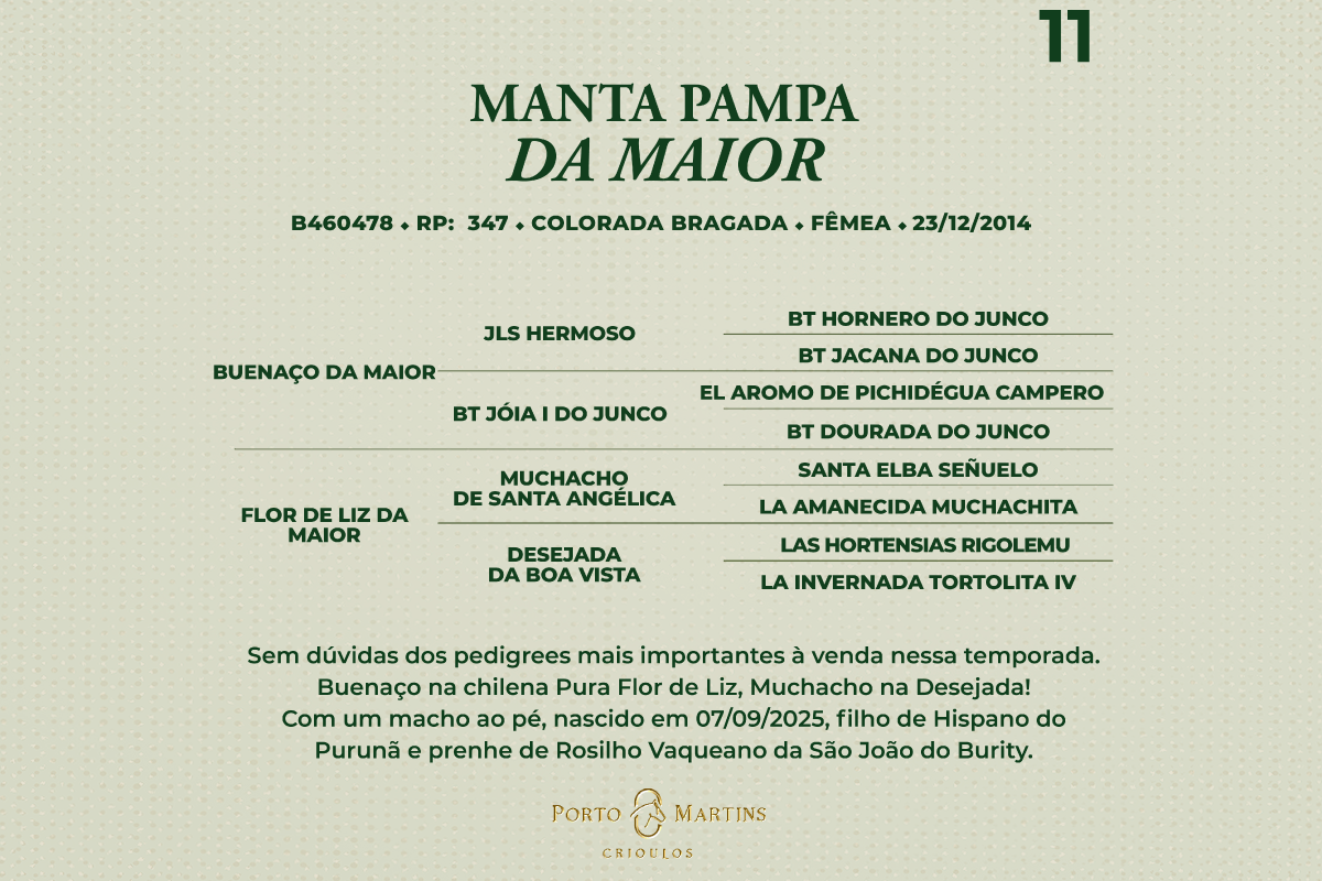 Geração MANTA PAMPA DA MAIOR