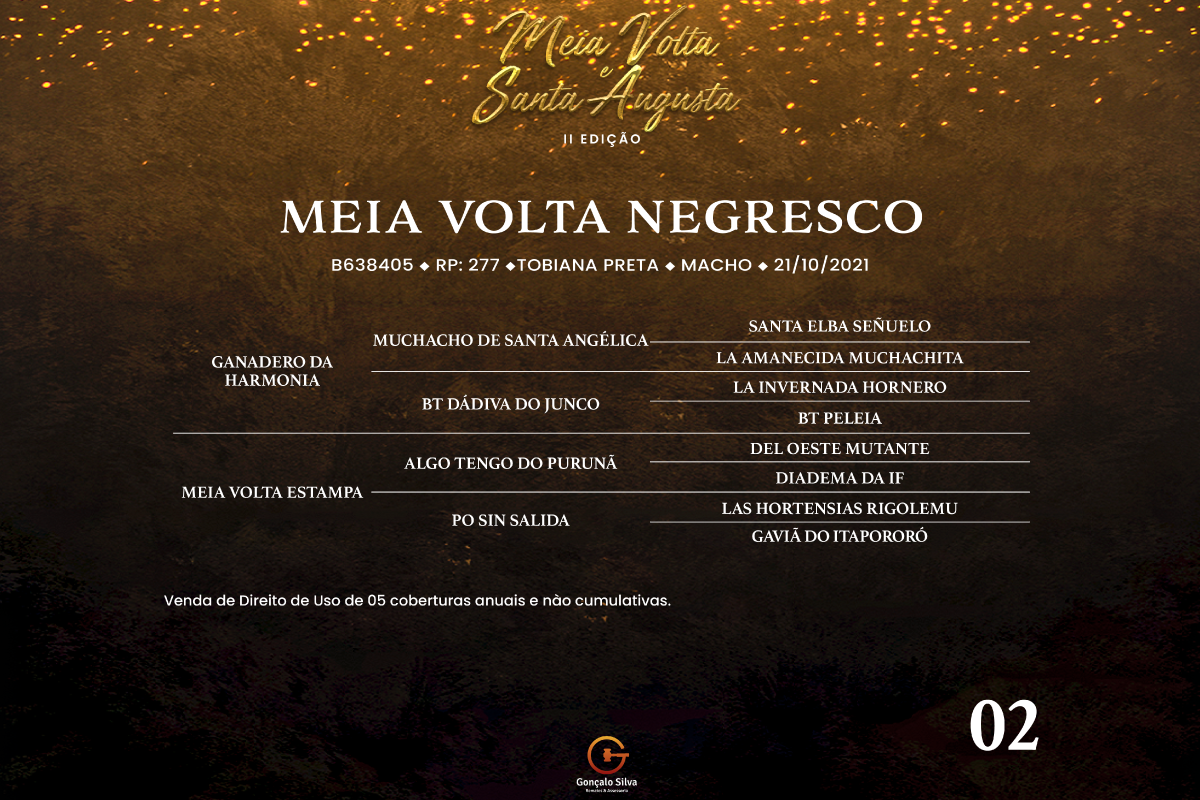 Geração MEIA VOLTA NEGRESCO - DIREITO DE USO 