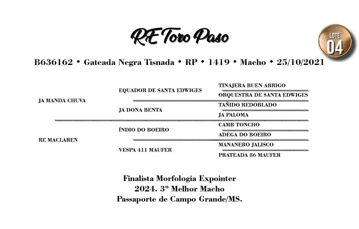 Geração RE TORO PASO
