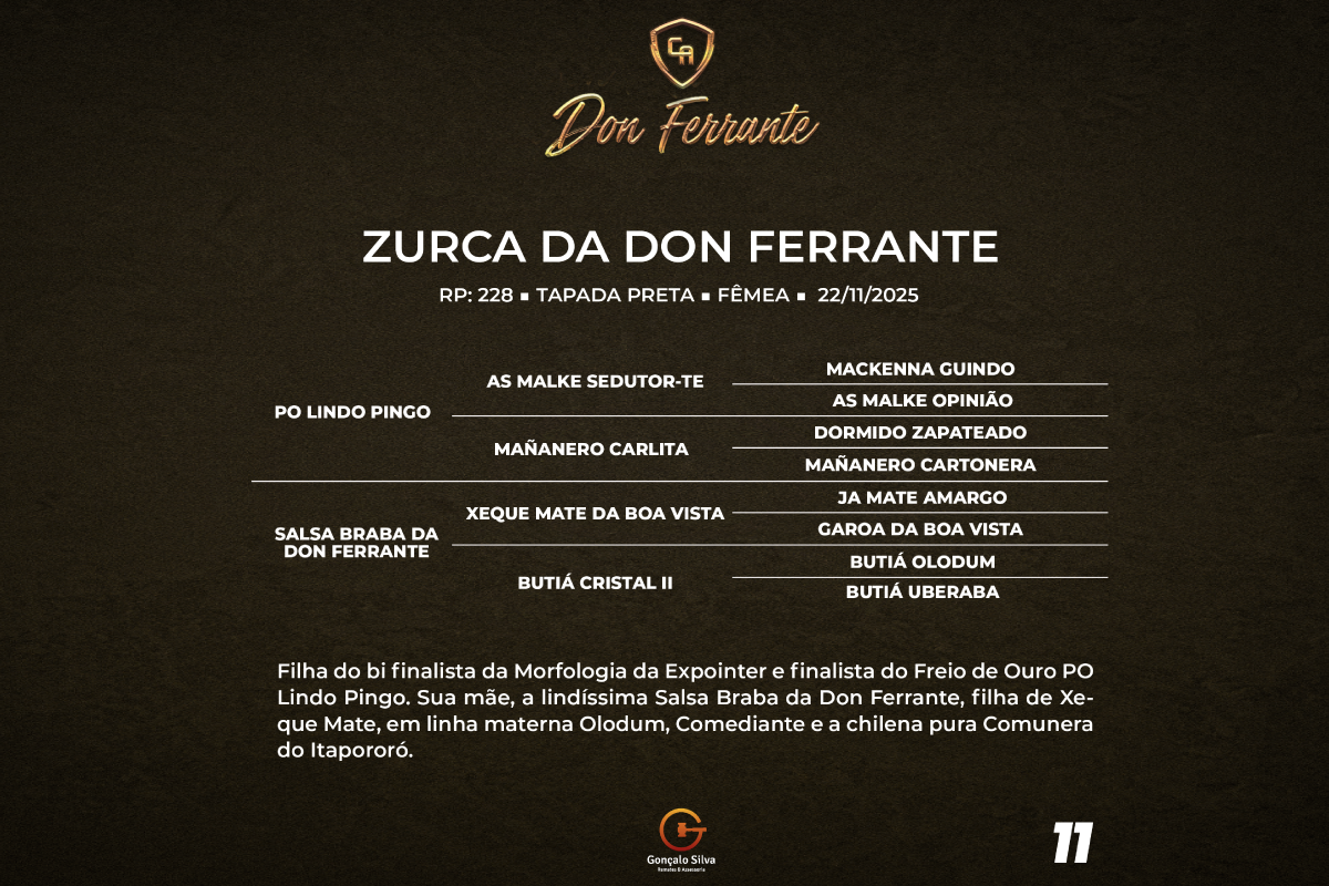 Geração ZURCA DA DON FERRANTE 
