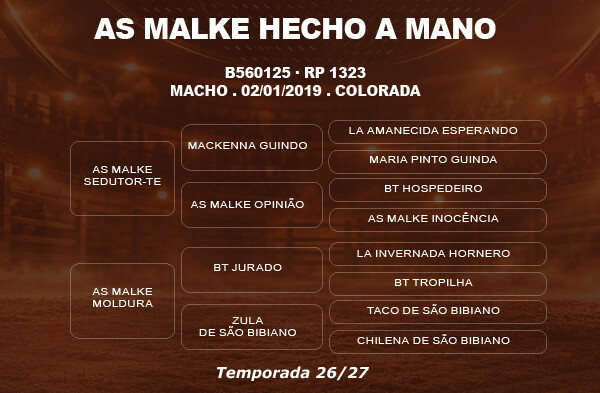 Geração COBERTURA AS MALKE HECHO A MANO 