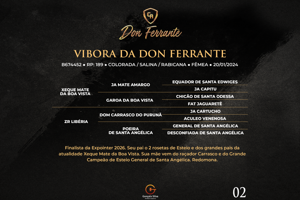 Geração VIBORA DA DON FERRANTE 