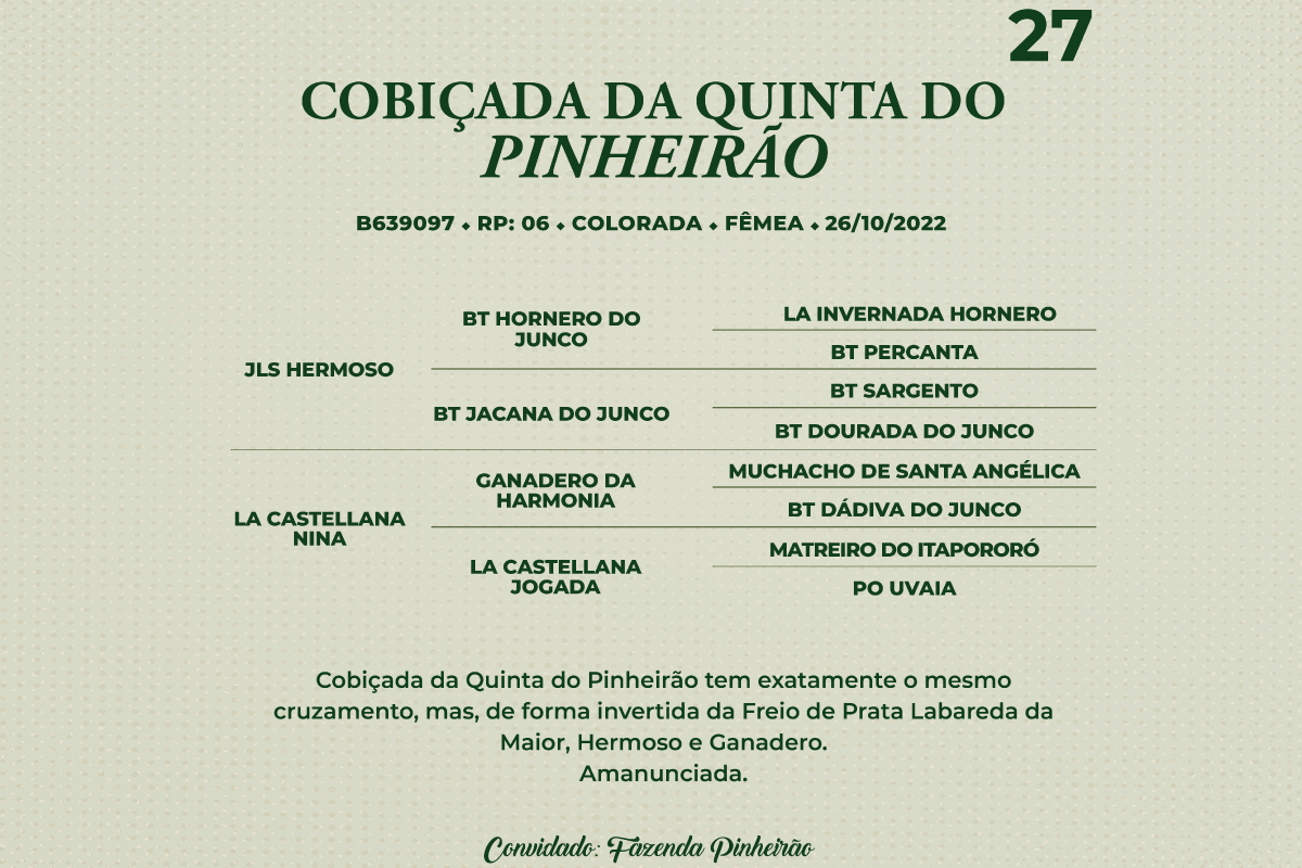 Geração COBIÇADA DA QUINTA DO PINHEIRÃO