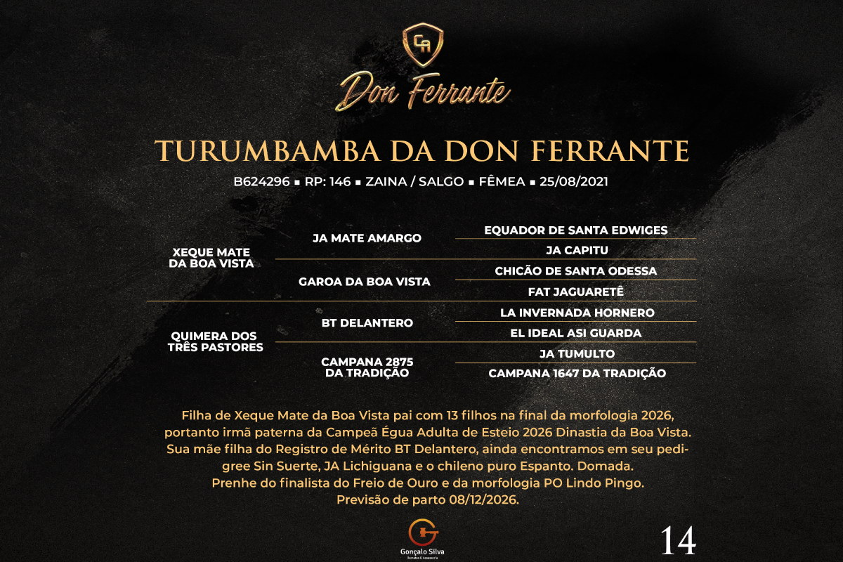 Geração TURUMBAMBA DA DON FERRANTE 