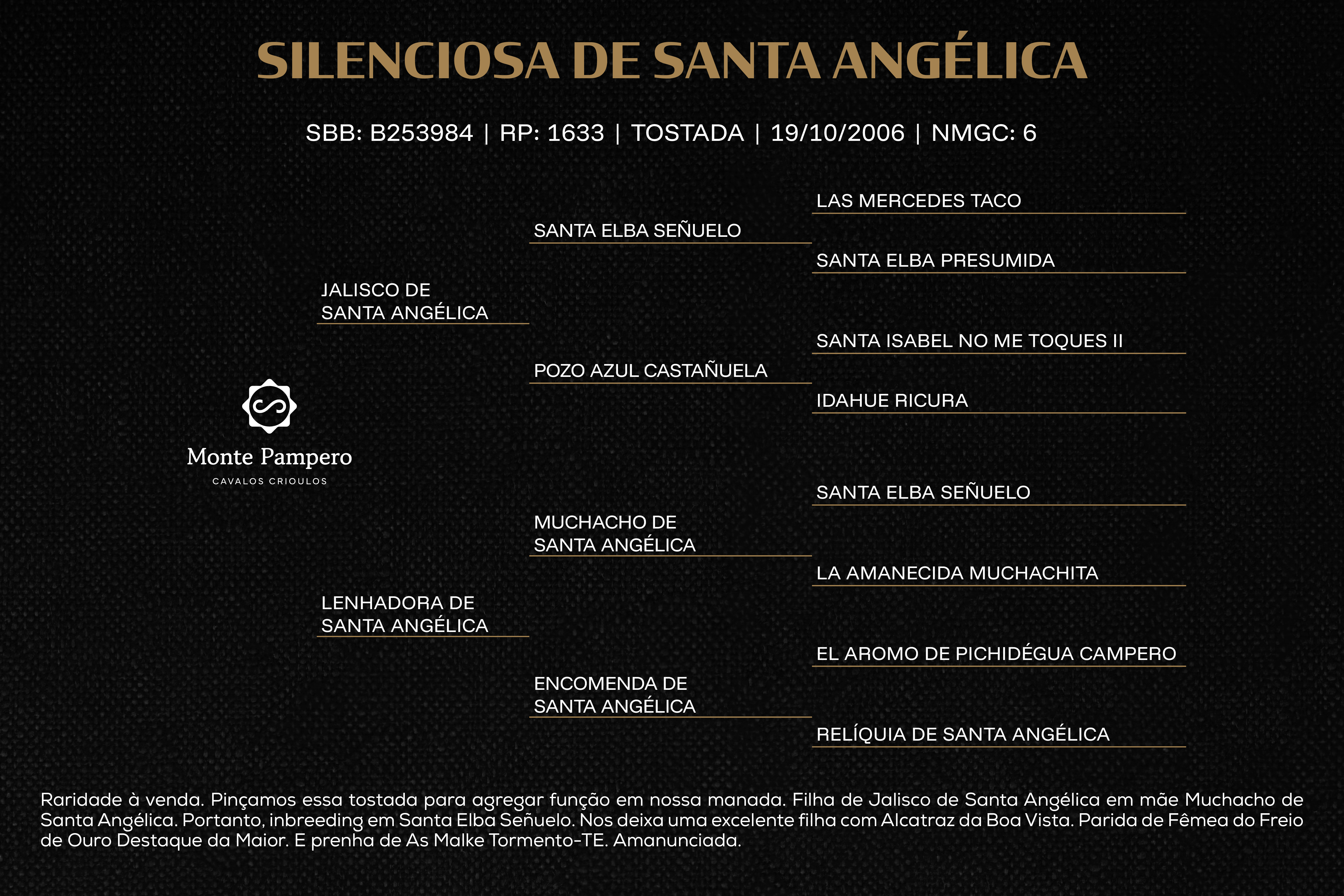 Geração SILENCIOSA DE SANTA ANGÉLICA