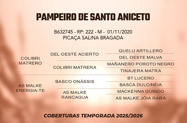 Geração PAMPEIRO DE SANTO ANICETO