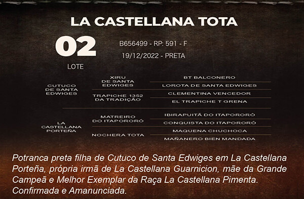 Geração LA CASTELLANA TOTA