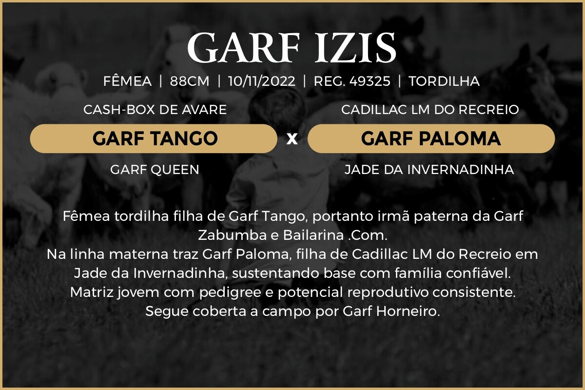 Geração GARF IZIS 