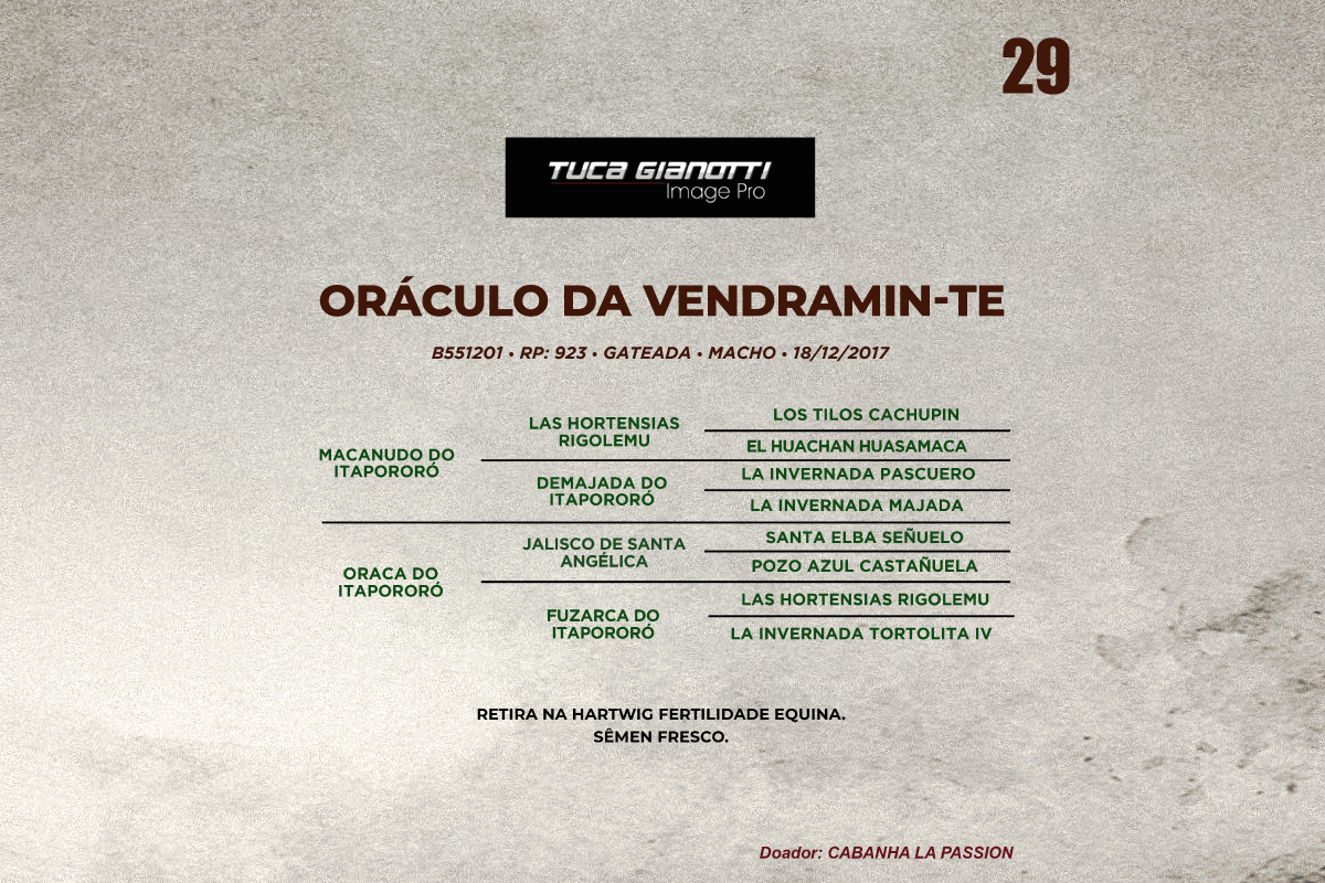 Geração ORACULO DA VENDRAMIN - TE 