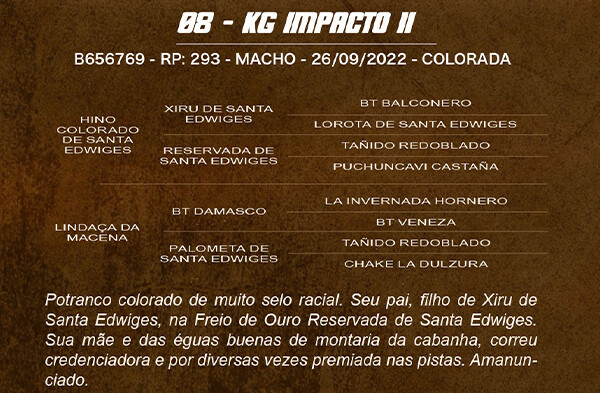 Geração KG IMPACTO