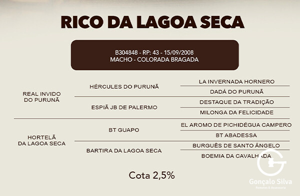 Geração COTA 2,5% RICO DA LAGOA SECA