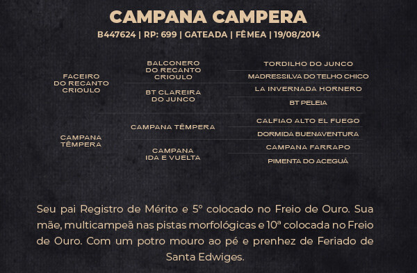 Geração CAMPANA CAMPERA