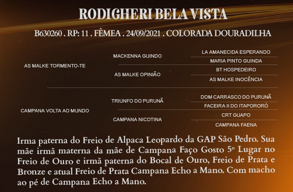 Geração RODIGHERI BELA VISTA 