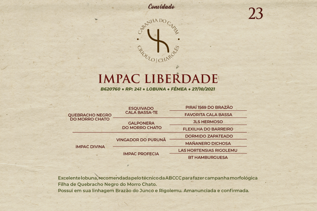 Geração IMPAC LIBERDADE