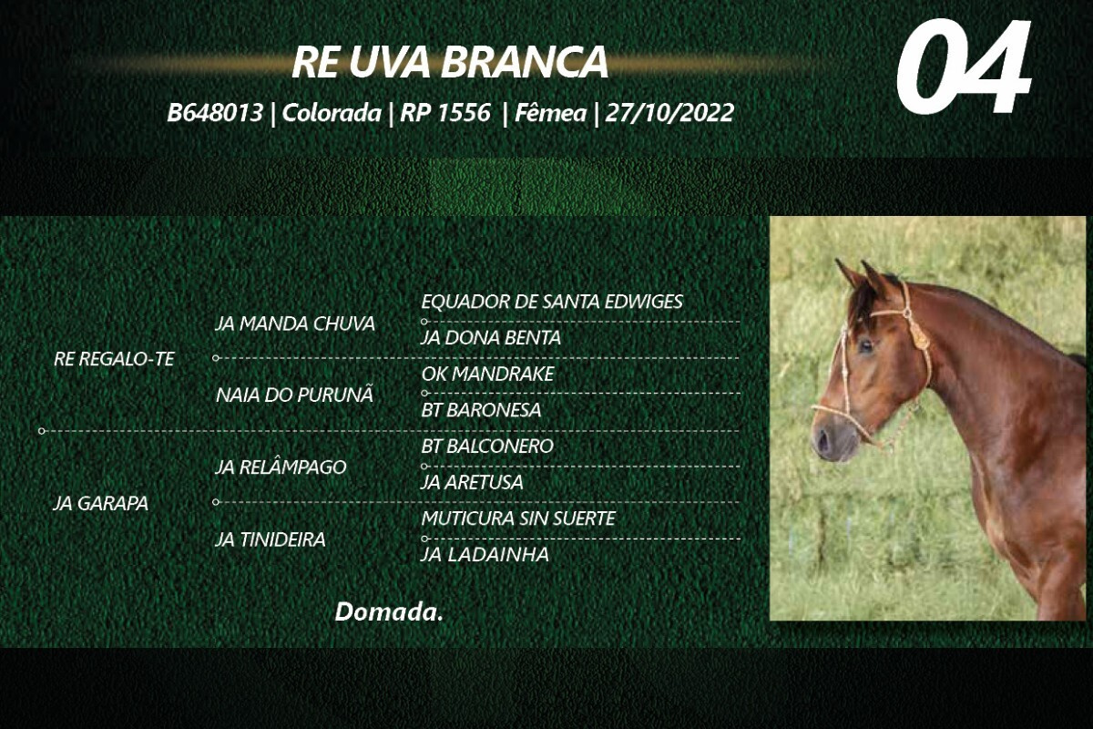 Geração RE UVA BRANCA