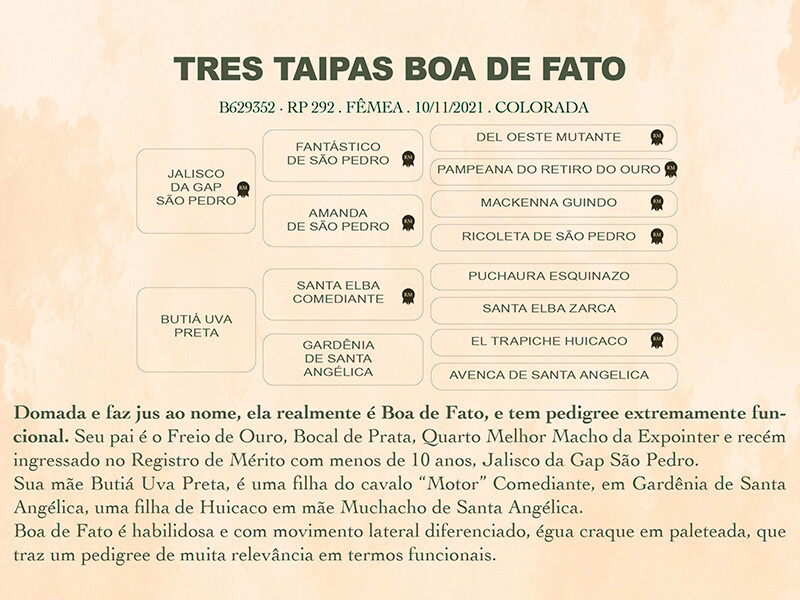 Geração TRÊS TAIPAS BOA DE FATO