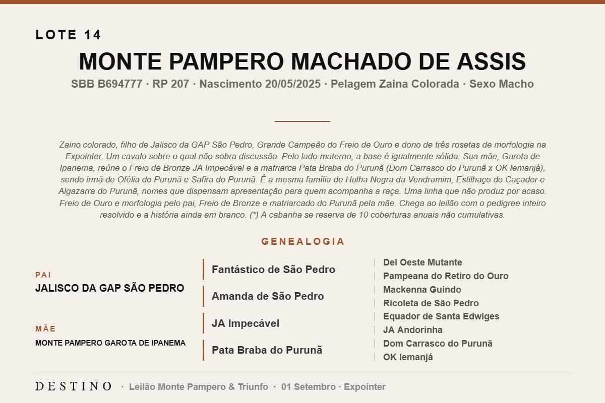 Geração MONTE PAMPERO MACHADO DE ASSIS
