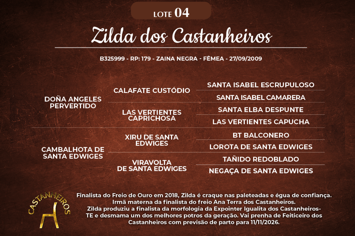 Geração ZILDA DOS CASTANHEIROS