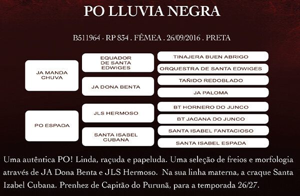 Geração PO LLUVIA NEGRA