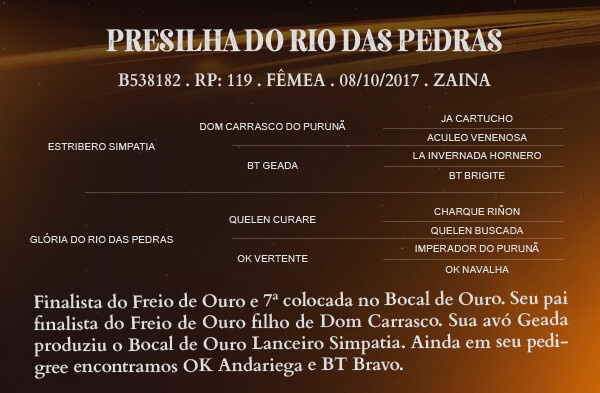 Geração PRESILHA DO RIO DAS PEDRAS
