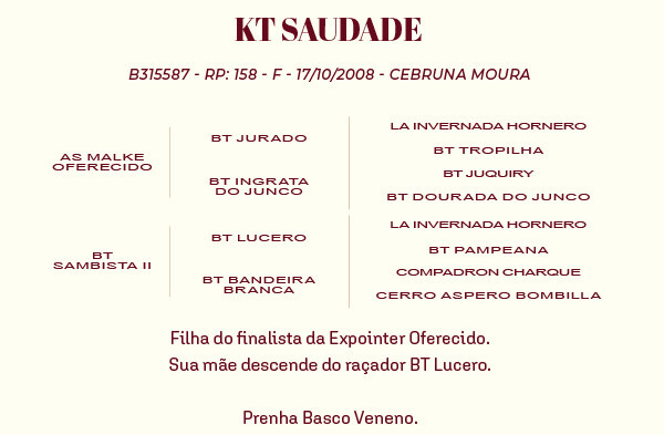 Geração KT SAUDADE