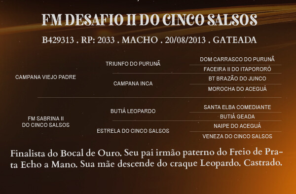 Geração FM DESAFIO II DO CINCO SALSOS 