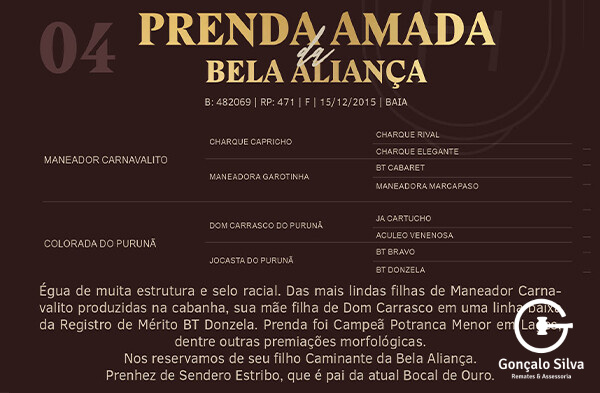 Geração PRENDA AMADA DA BELA ALIANÇA 