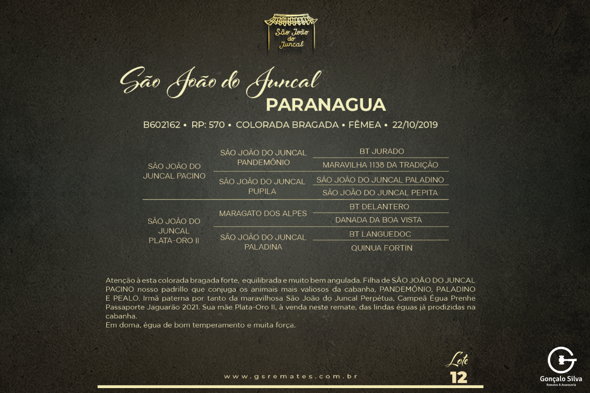 Geração SÃO JOÃO DO JUNCAL PARANAGUA