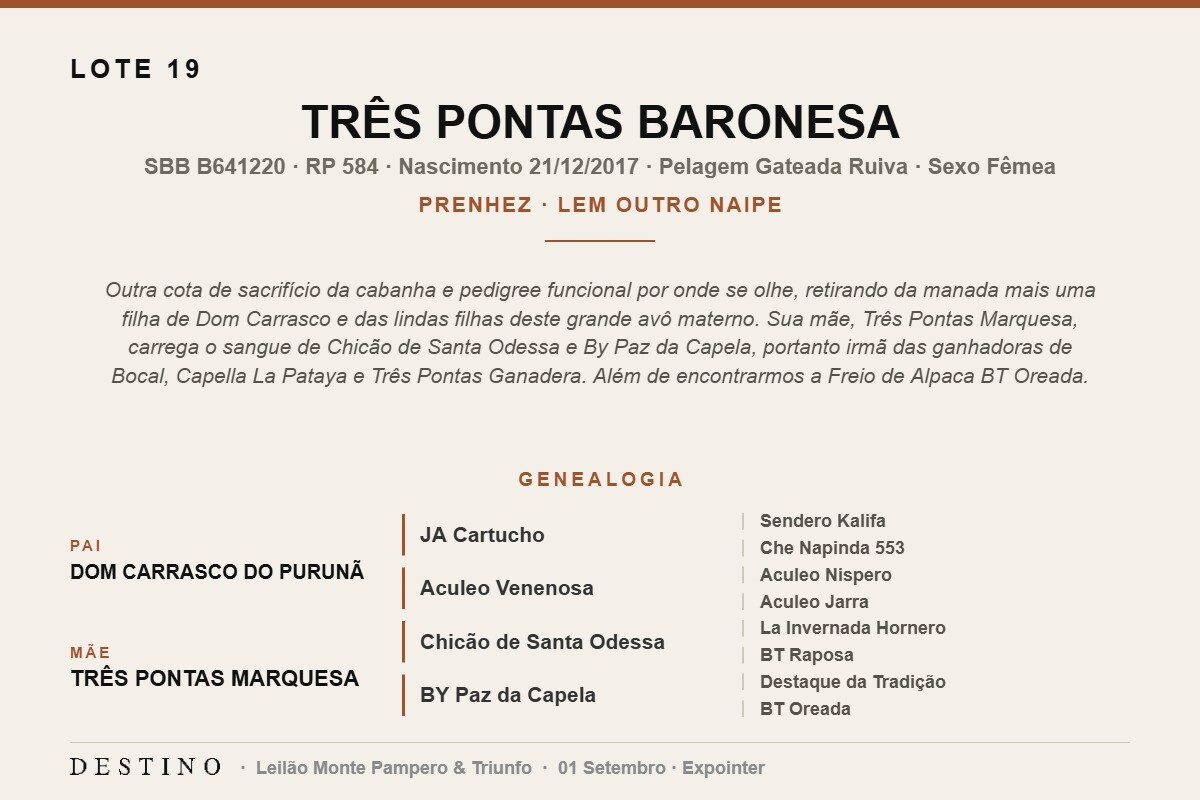 Geração TRÊS PONTAS BARONESA