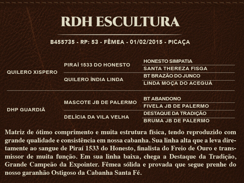 Geração RDH ESCULTURA
