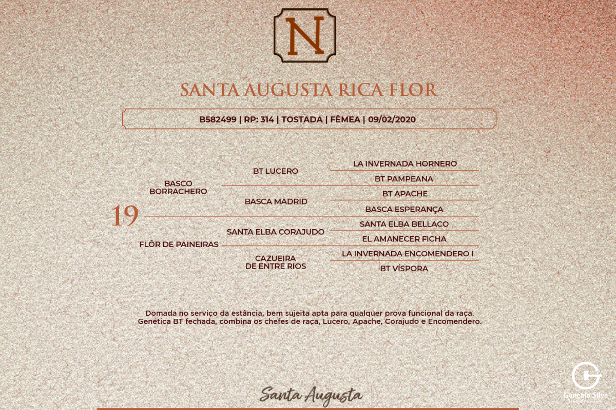Geração SANTA AUGUSTA RICA FLOR
