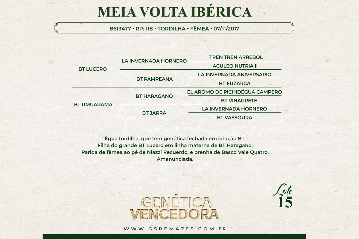Geração MEIA VOLTA IBÉRICA