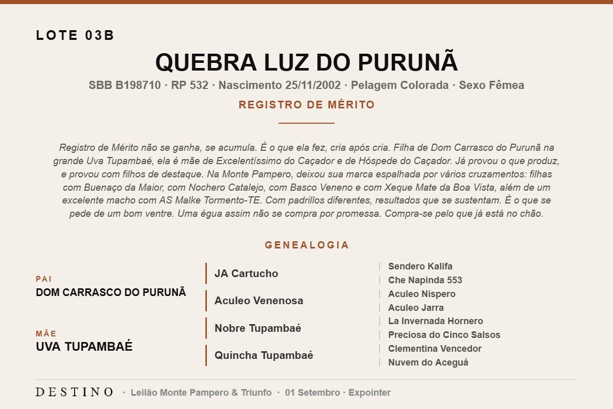 Geração QUEBRA LUZ DO PURUNÃ - (Venda vertical)