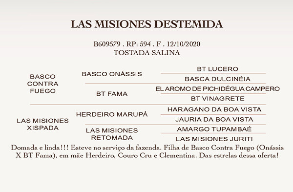 Geração  LAS MISIONES DESTEMIDA