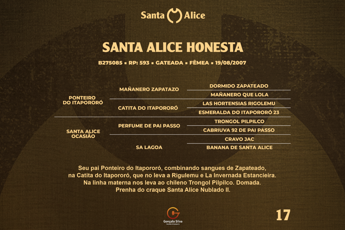 Geração SANTA ALICE HONESTA 