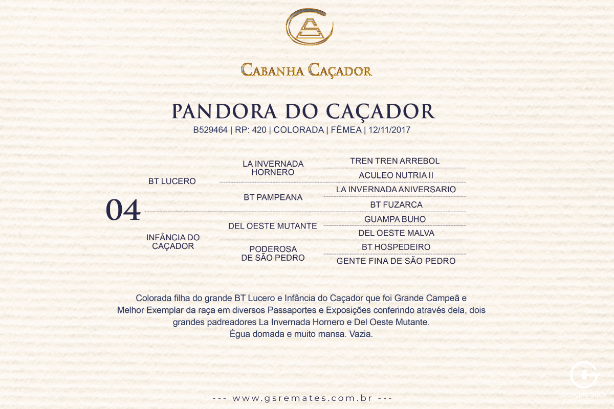 Geração PANDORA DO CAÇADOR 