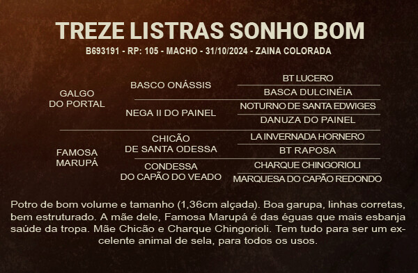 Geração TREZE LISTRAS SONHO BOM