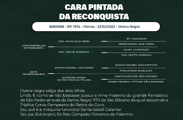 Geração VENDA VERTICAL CARA PINTADA DA RECONQUISTA OU COLOR ESPERANZA DA RECONQUISTA