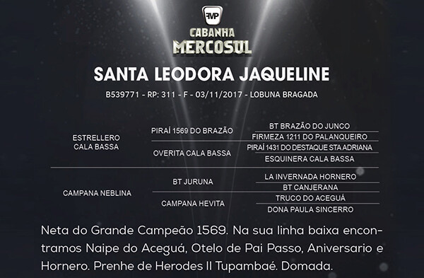 Geração SANTA LEODORA JAQUELINE