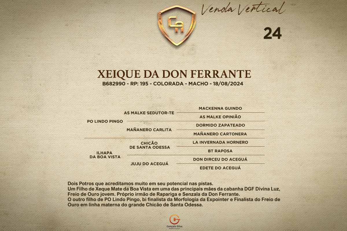 Geração XEIQUE DA DON FERRANTE - Venda vertical