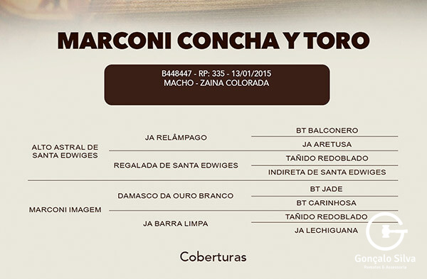 Geração COBERTURA MARCONI CONCHA Y TORO