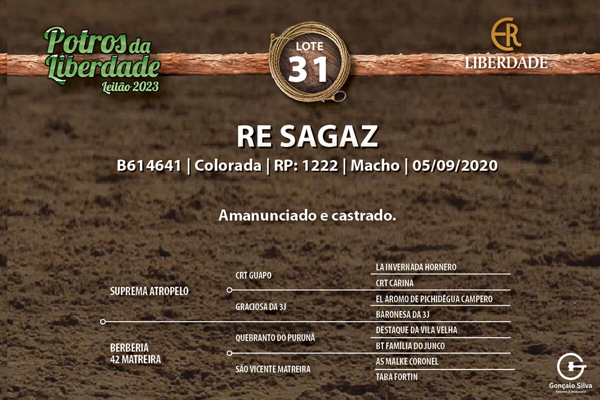 Geração RE SAGAZ